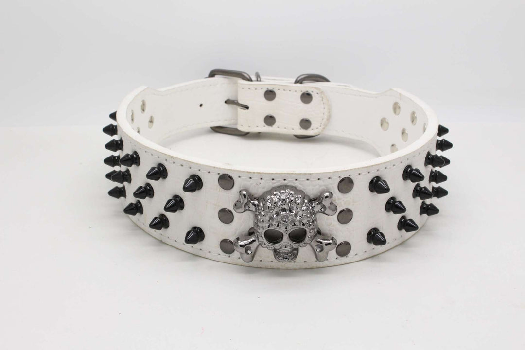 Black skull pet collar with round head nails for dogs in multiple colors and sizes
