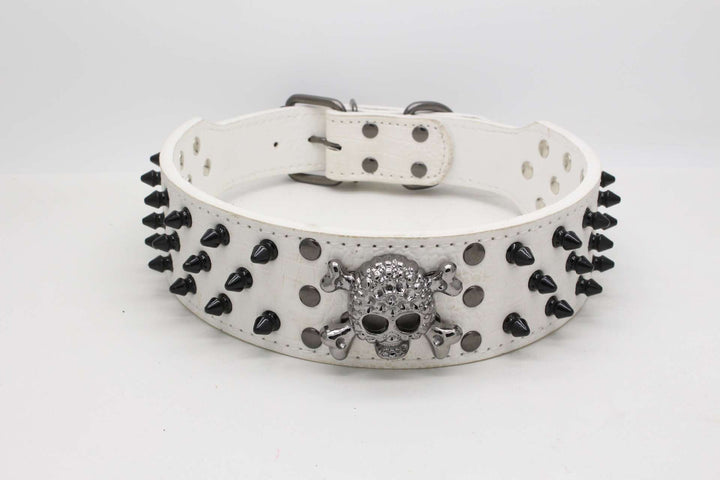 Black skull pet collar with round head nails for dogs in multiple colors and sizes