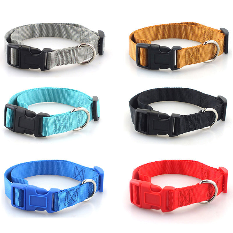Plain polyester dog collar in multiple colors and sizes