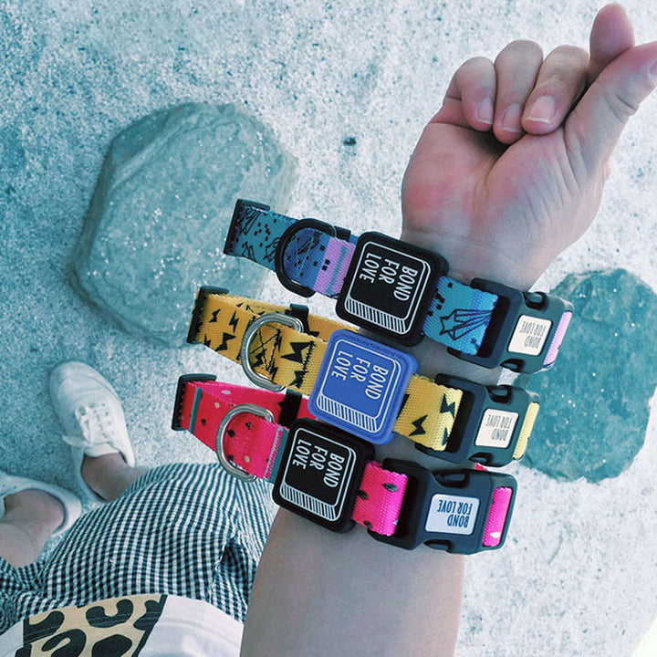 Fashion simple pet dog webbing collar with printed nylon material in multiple colors